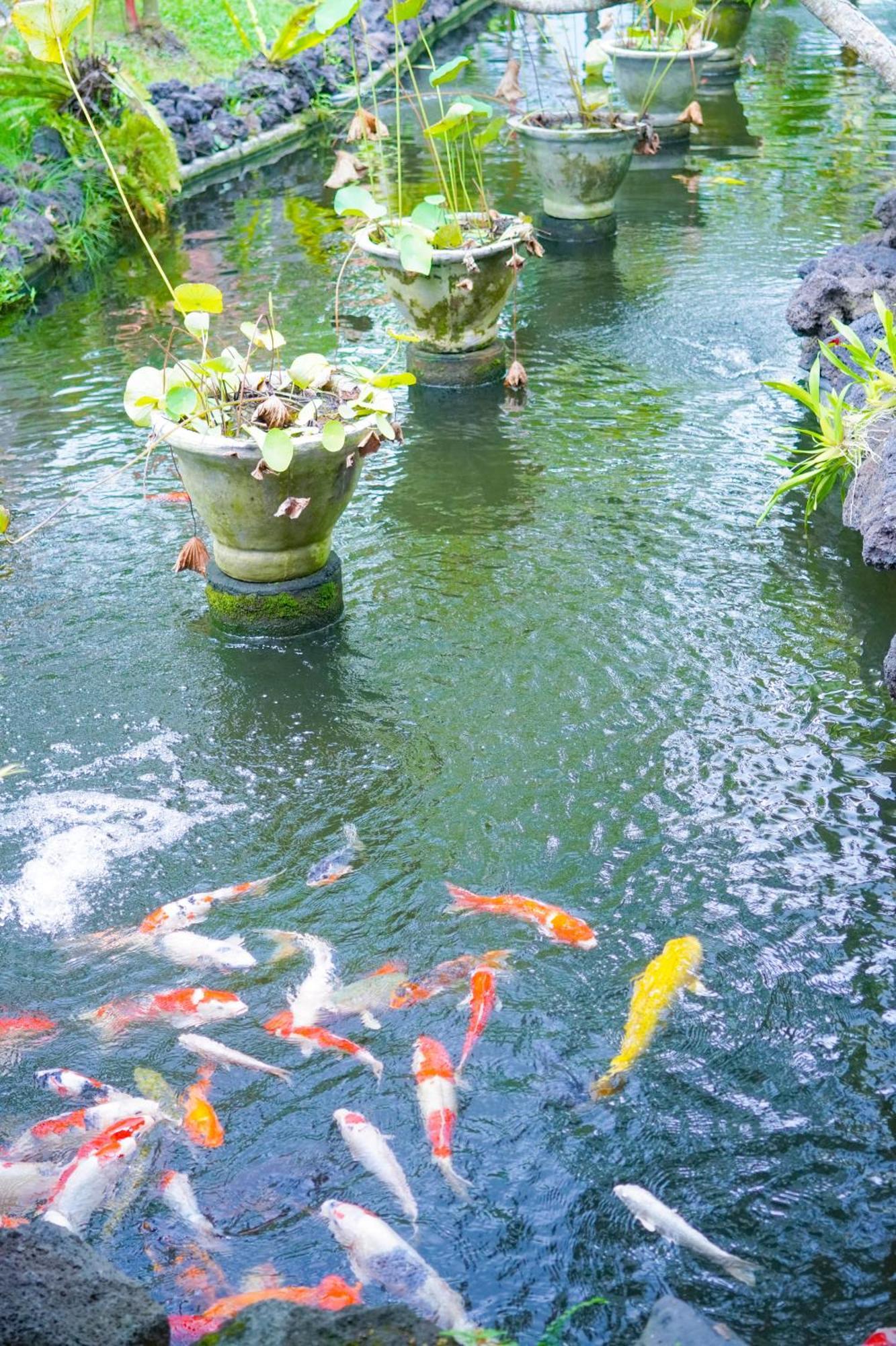 Bije Suite Villa Ubud Exterior photo